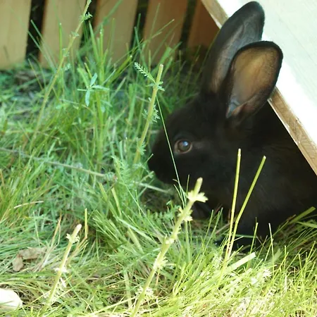 Гостевой дом Leitner 3*