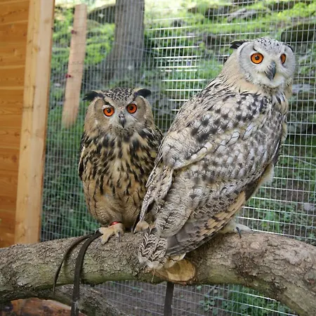 Гостевой дом Leitner