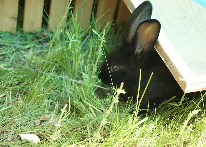 Pensionat Leitner 3*