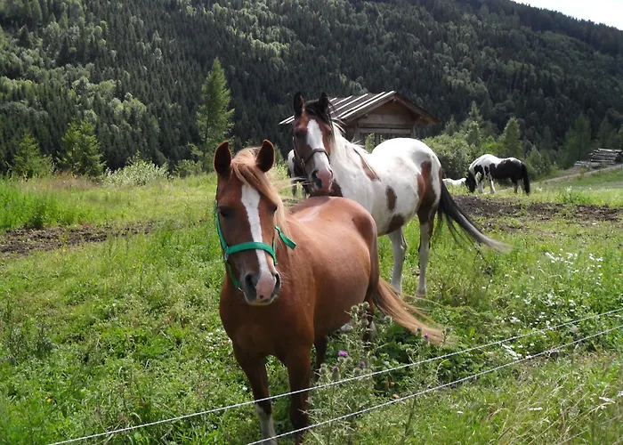 Pensionat Leitner 3*